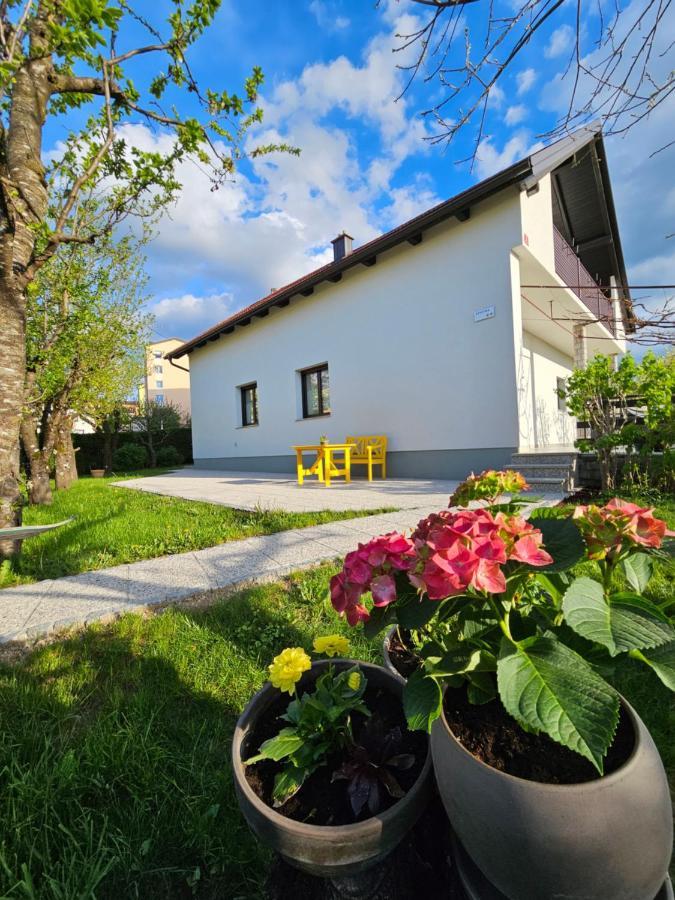 The Green Door Apartment Postojna Exterior foto